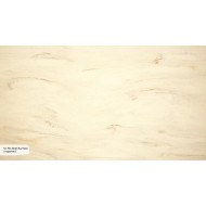 M 704 A Shell Surface