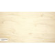M 704 A Shell Surface M 704 A Shell Surface