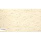M 704 B Shell Surface M 704 B Shell Surface