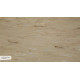 M 705 A Lake Coast M 705 A Lake Coast