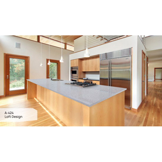 A-424 Loft Design