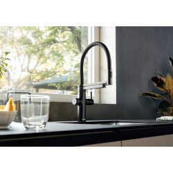 Blanco EVOL-S Pro Filter черный матовый